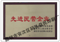 先進民營企業